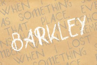 Barkley Display Font for Creative Web Projects