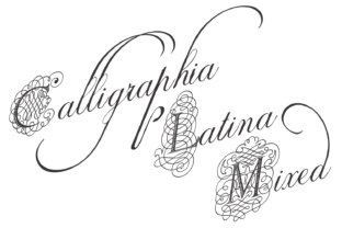 Calligraphia Latina Mixed: A Display Font for Memorable Branding