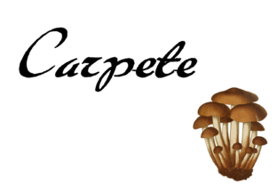 Carpete Font for Creative Campaigns
