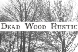 Dead Wood Rustic Font Review for Brand Designers