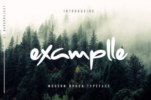 Examplle Font: A Script Typeface for Bold Web Design