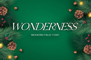 Wonderness Display Font for Stylish Editorial Design